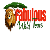 celebrity footprint tours logo1